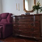 Dagli Zanni *